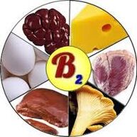 B2 B2 vitaminai smegenims